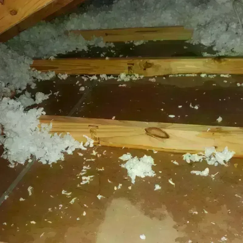 Attic Water Damage in Bear Valley Springs, CA